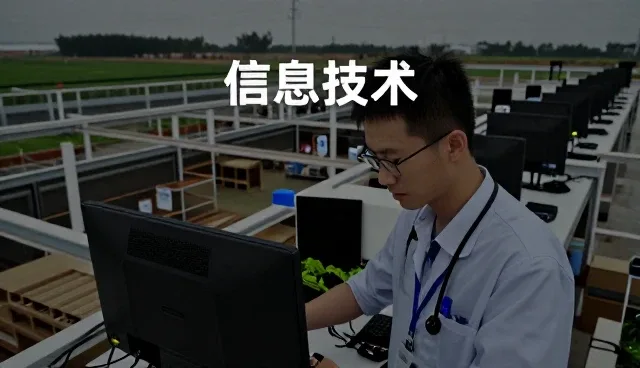义乌市数浙信息技术有限公司助力企业提升软件能力